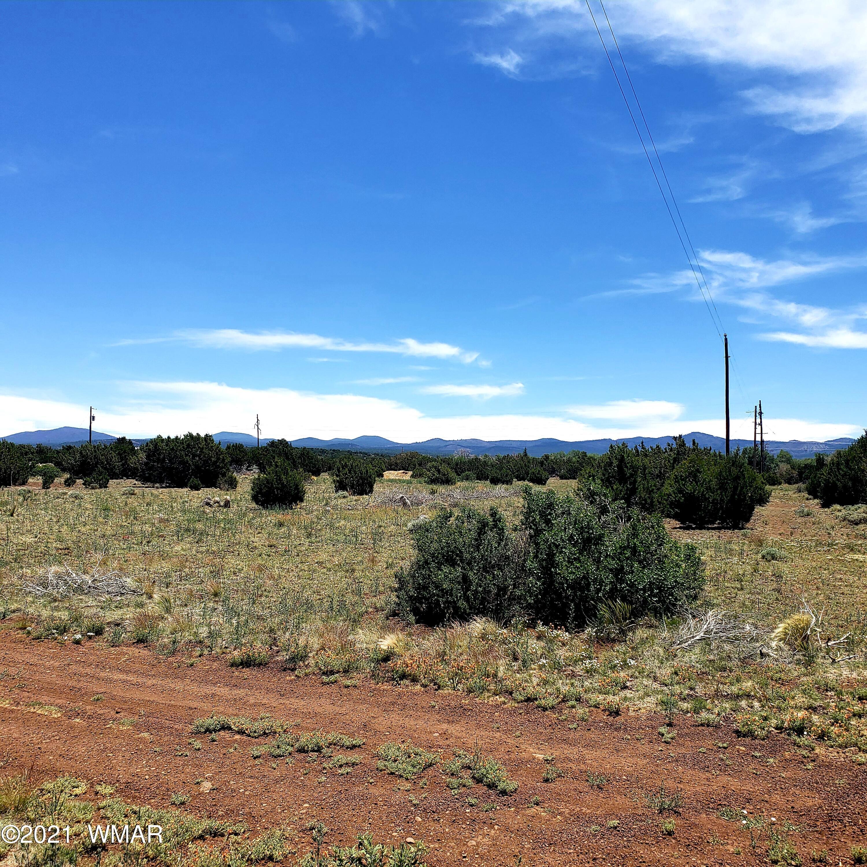 1782 Co Road Vernon, AZ 85940 - Photo 5 of 6