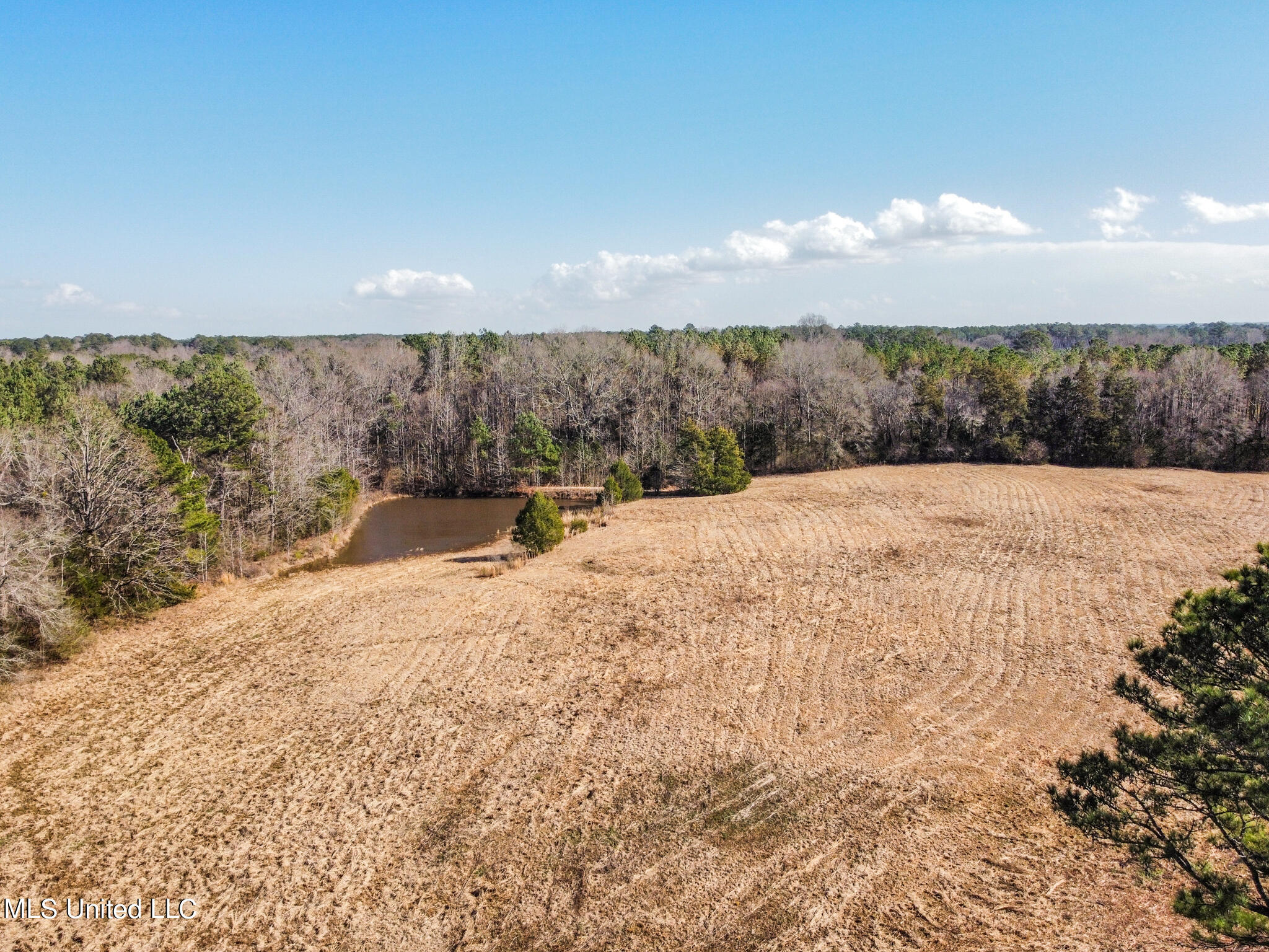 0 John Day Road Canton, MS 39046 - Photo 1 of 6 F029DF57-8EB2-4D9E-BC29-6F987C89C4D5