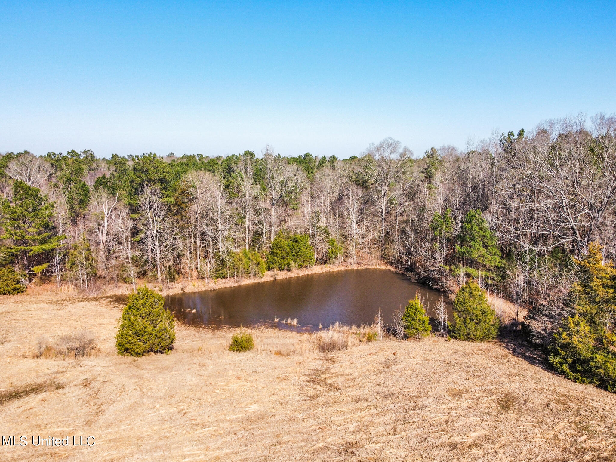 0 John Day Road Canton, MS 39046 - Photo 2 of 6 2170D9F1-58E4-45F3-9E75-C27BA90F8865