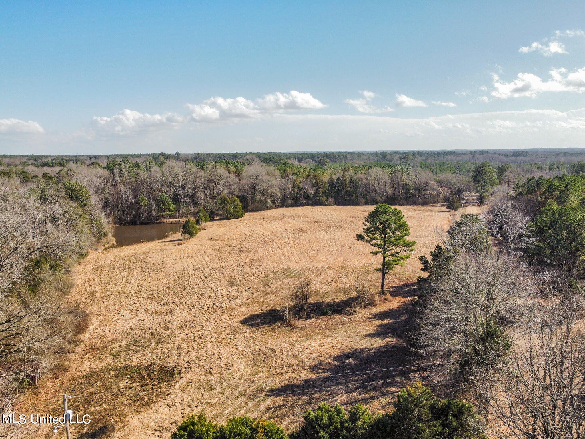 0 John Day Road Canton, MS 39046 - Photo 4 of 6 30B82AB0-C4FC-47E9-9843-A8ABE3859B17