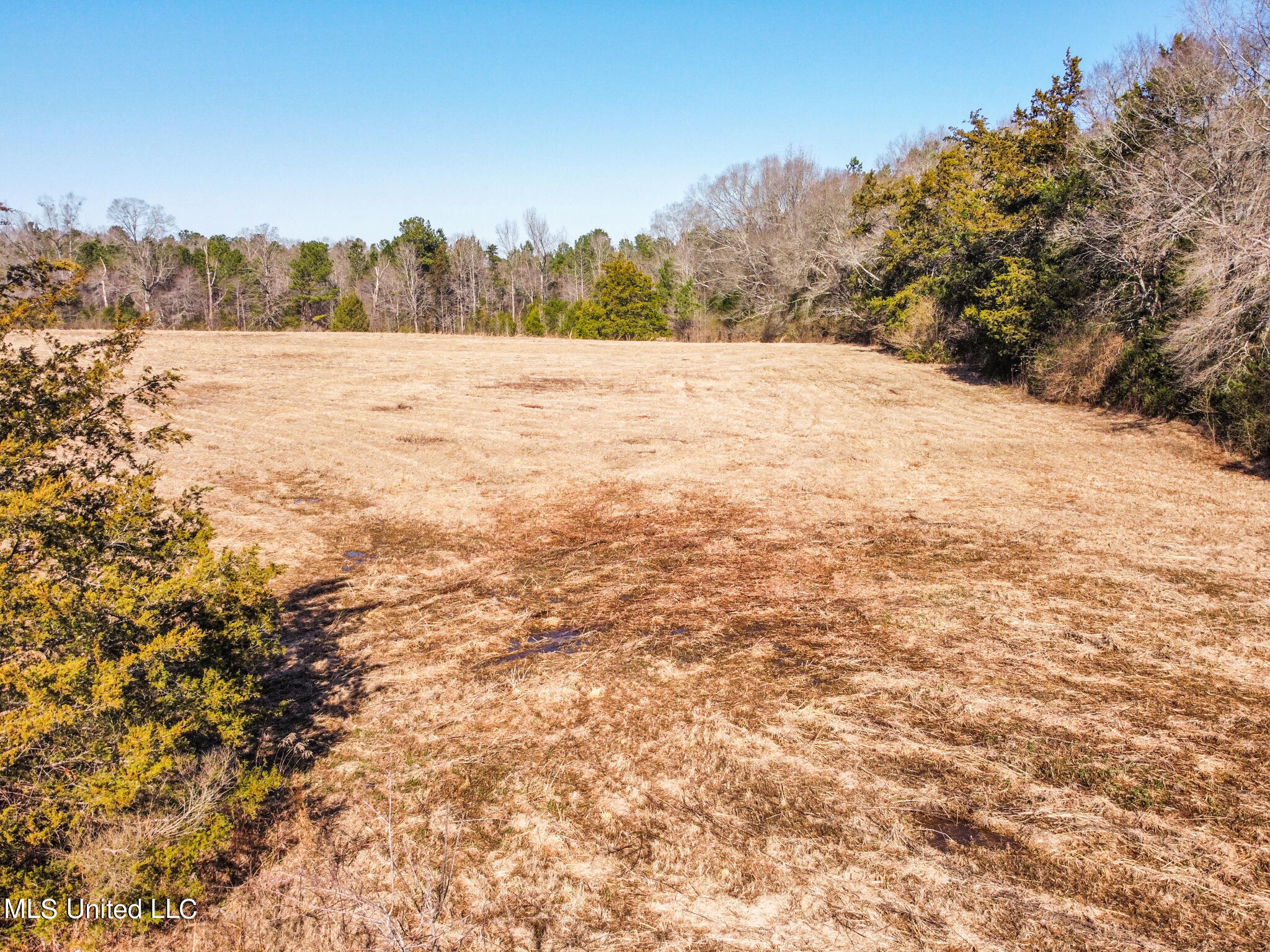 0 John Day Road Canton, MS 39046 - Photo 5 of 6 3EC8FF17-65D3-4FA3-9DBA-74F1AB84D8B6