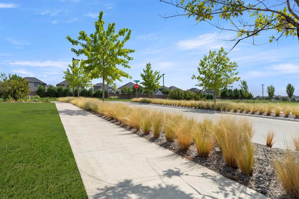 2532 Brunswick Way Allen, TX 75013 - Photo 21 of 25 10. Path (4)