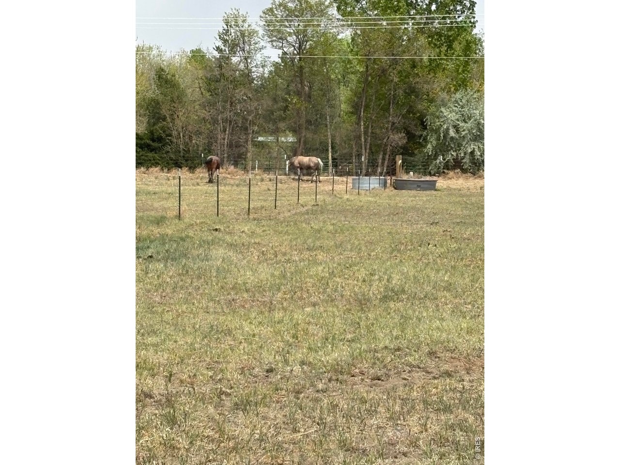 8626 County Road 22 Fort Lupton, CO 80621 - Photo 48 of 50 a room with a bench and trees