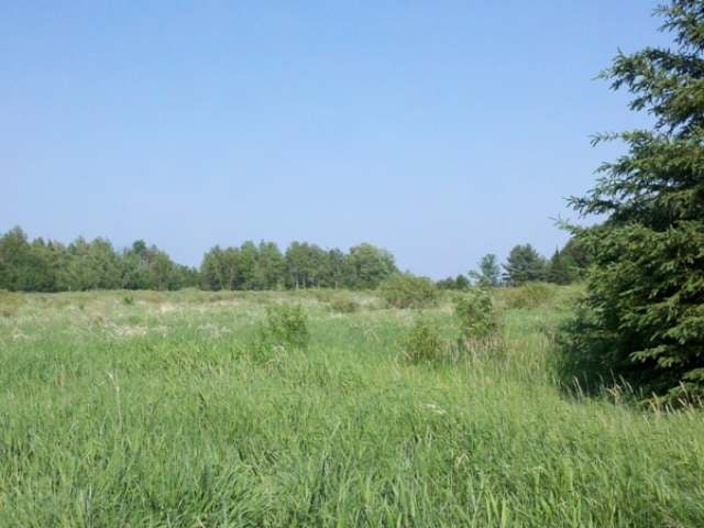 8 Prentice Wi 54556 Prentice, WI 54556 - Photo 6 of 7 Gallery Image 6