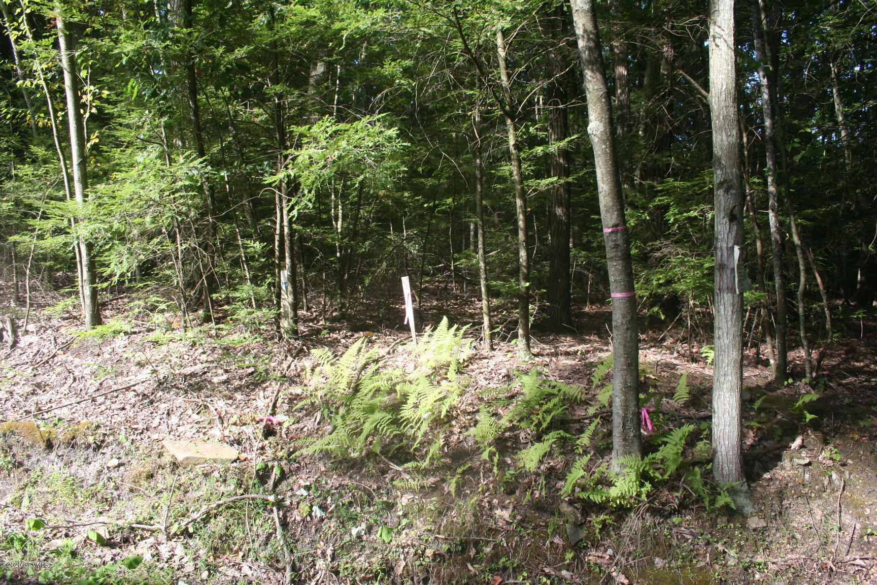 Sones Road Muncy, PA 17756 - Photo 2 of 5
