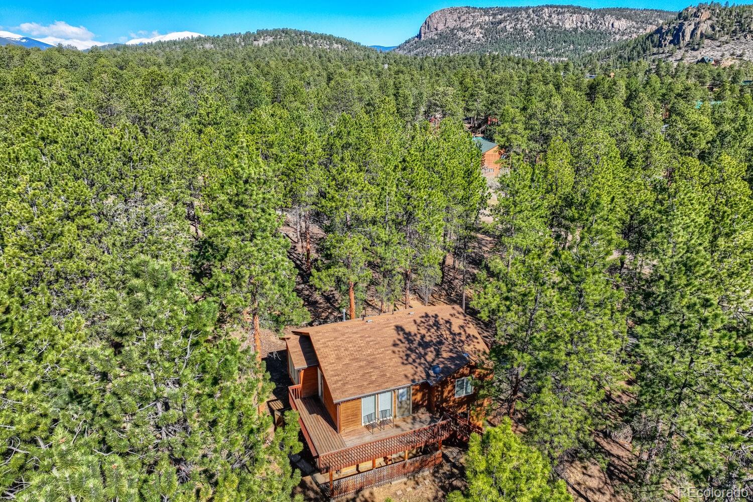 261 Impala Trail Bailey, CO 80421 - Photo 2 of 37