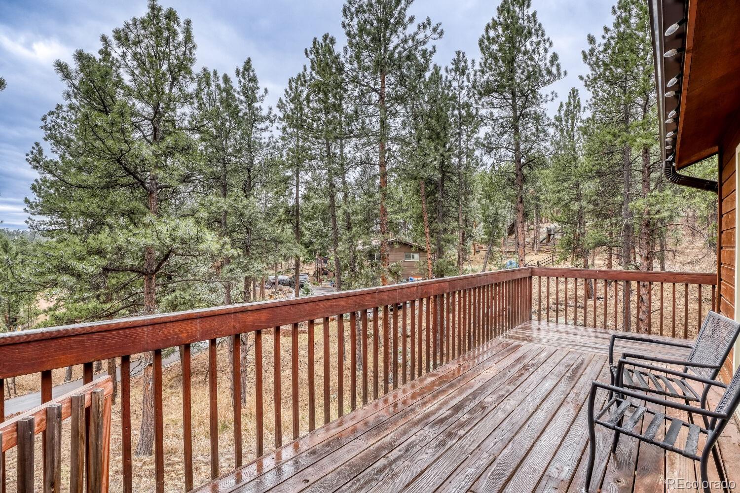261 Impala Trail Bailey, CO 80421 - Photo 24 of 37