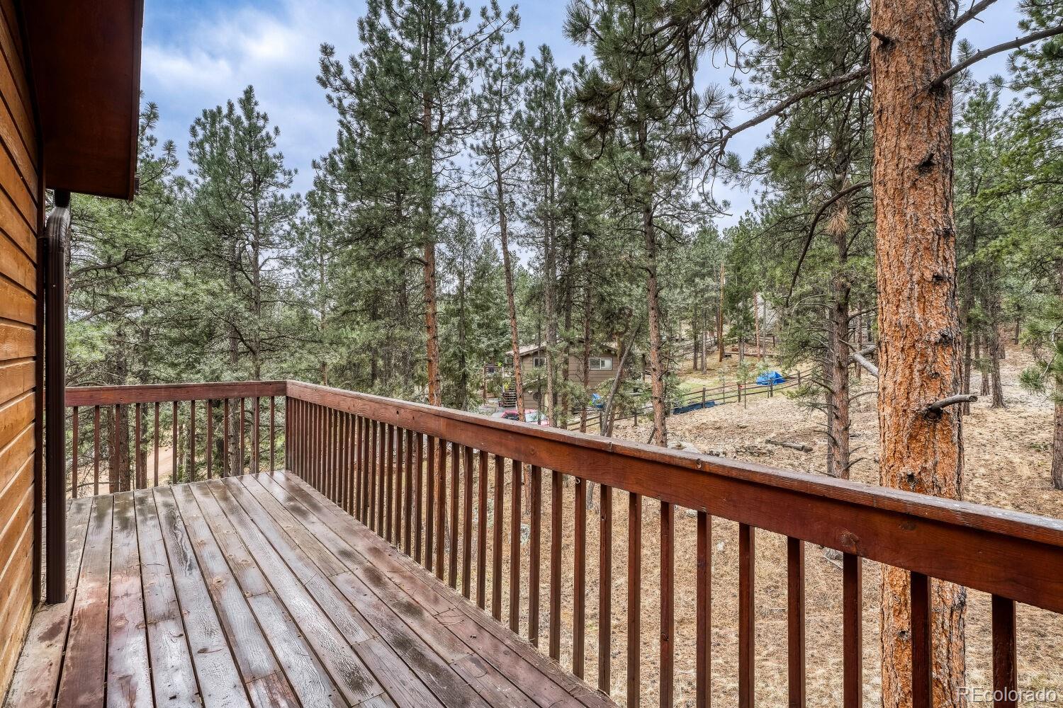 261 Impala Trail Bailey, CO 80421 - Photo 25 of 37
