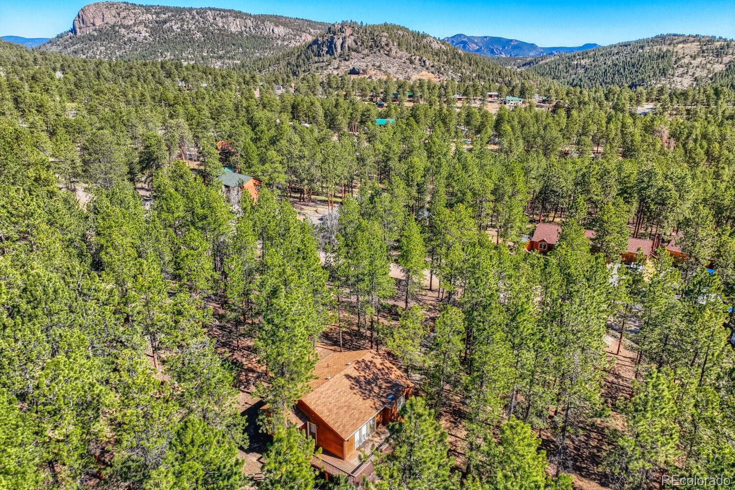 261 Impala Trail Bailey, CO 80421 - Photo 28 of 37