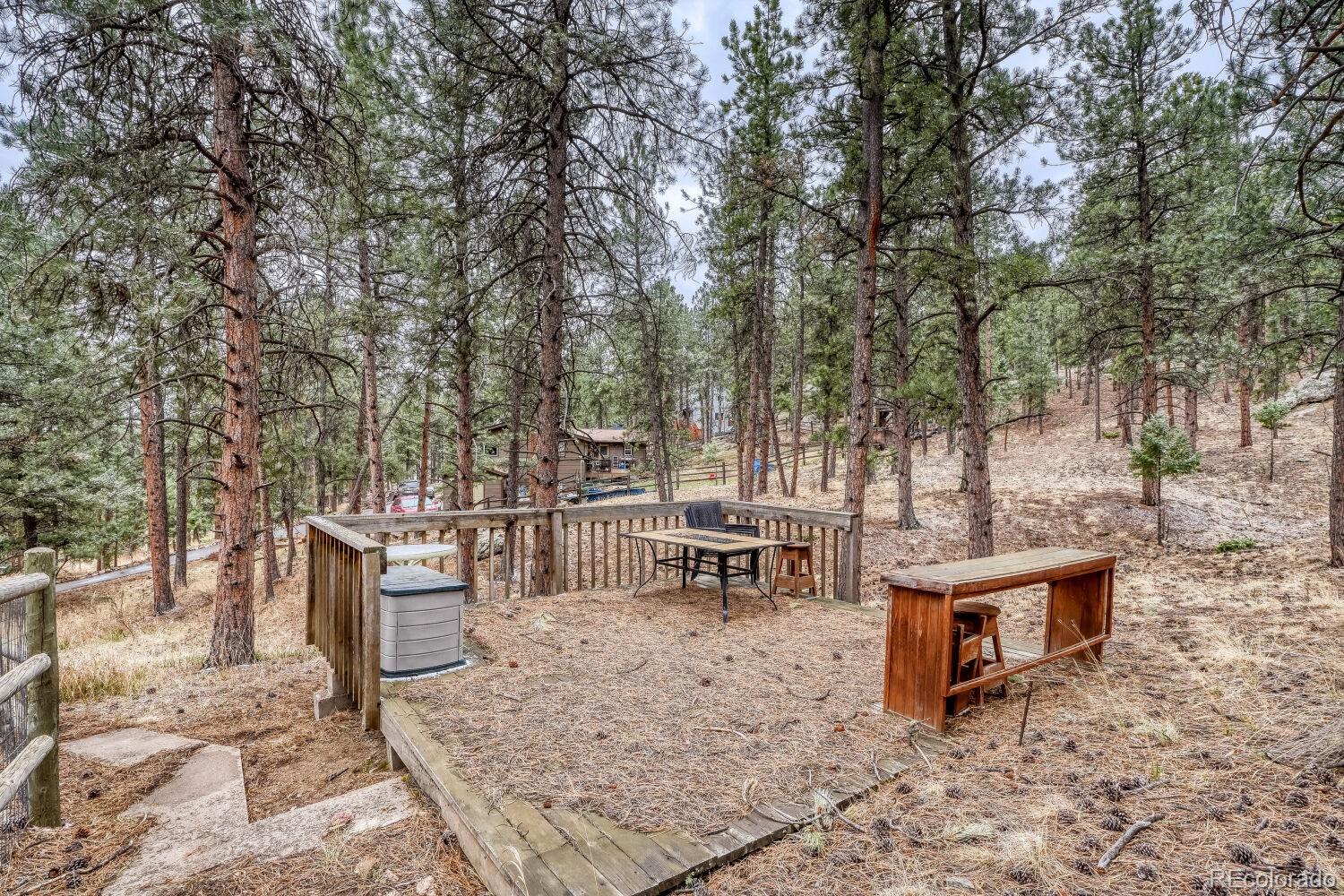 261 Impala Trail Bailey, CO 80421 - Photo 29 of 37