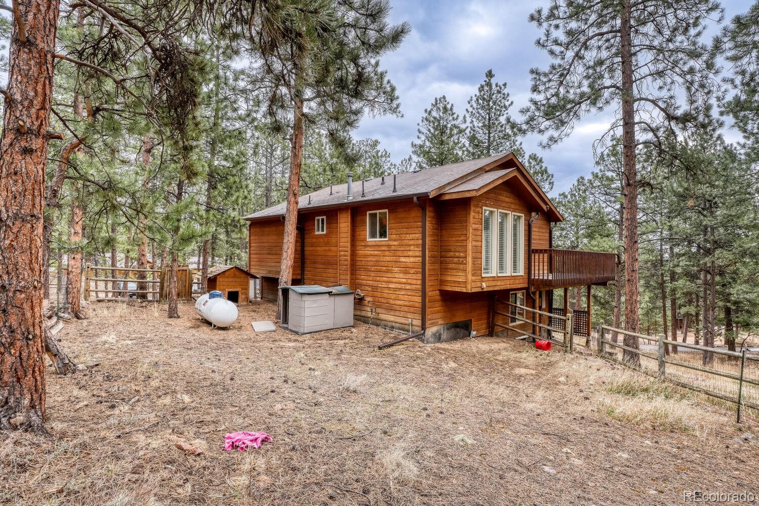 261 Impala Trail Bailey, CO 80421 - Photo 31 of 37