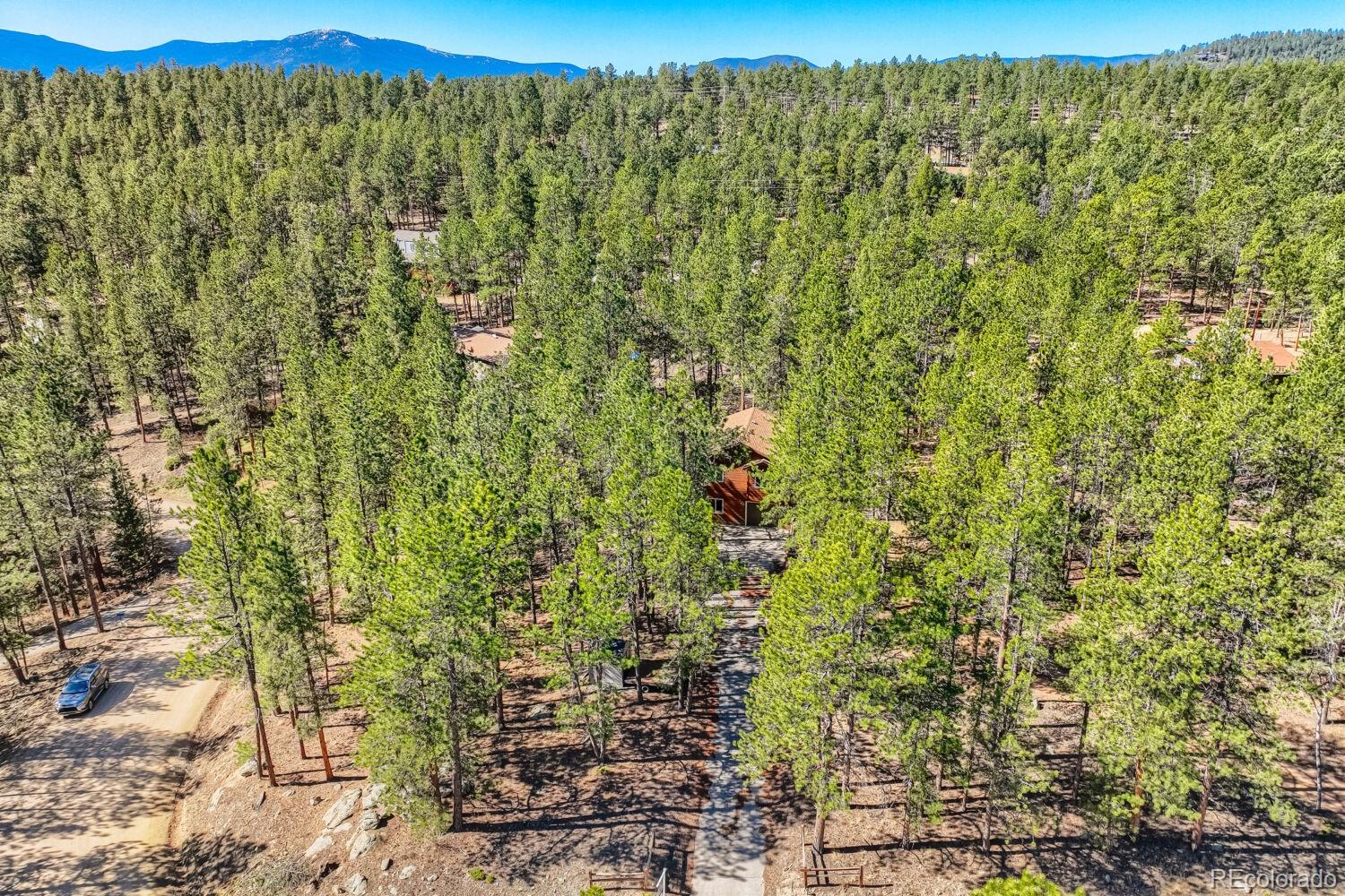 261 Impala Trail Bailey, CO 80421 - Photo 33 of 37