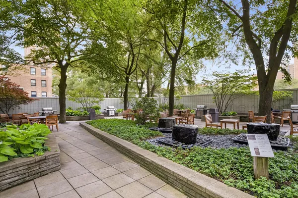 a view of a garden with plants