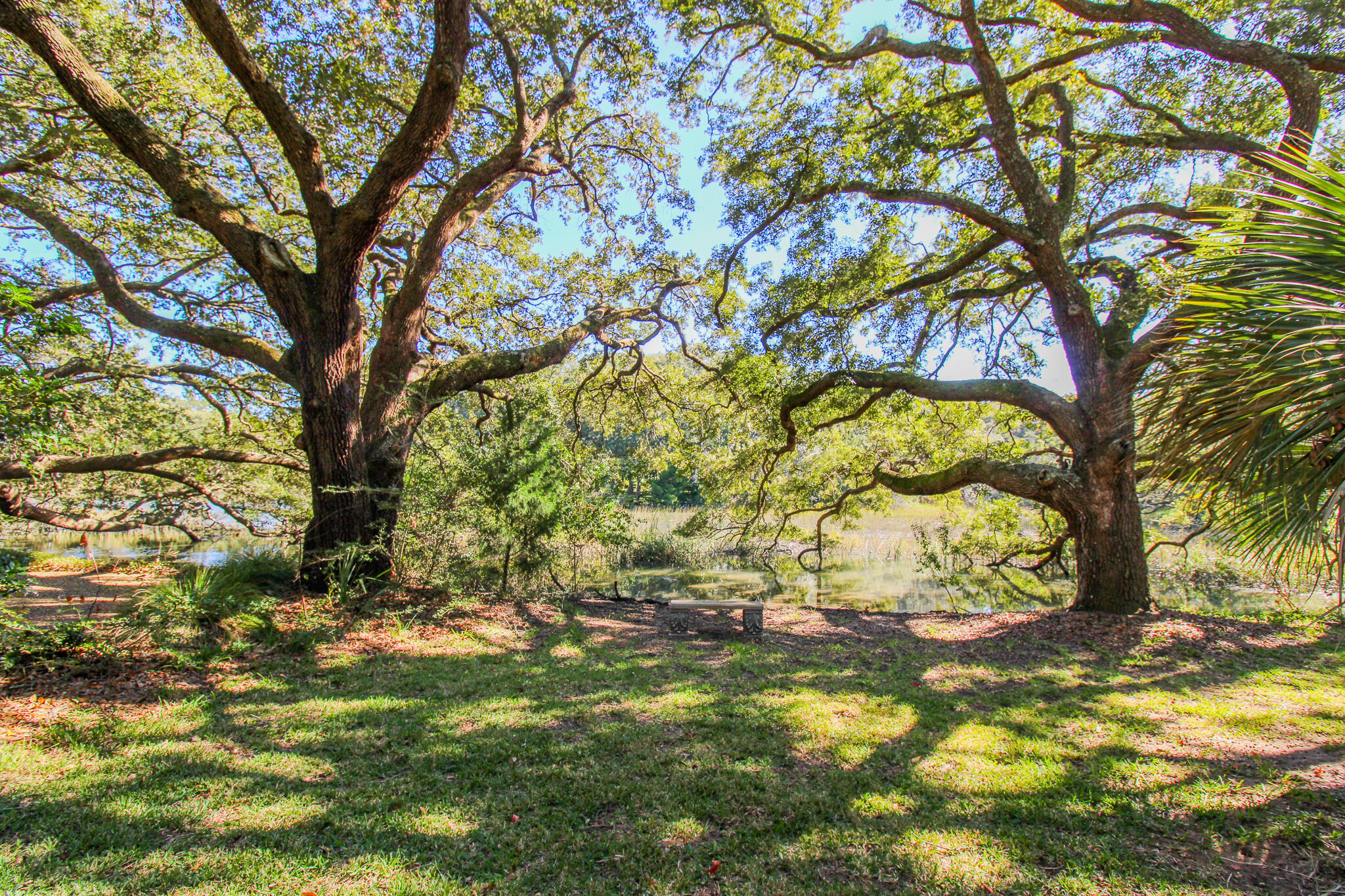 1666 Back Creek Road Charleston, SC 29412 - Photo 11 of 34 887E0819-296E-4A7B-B05B-82D8605FB7E3