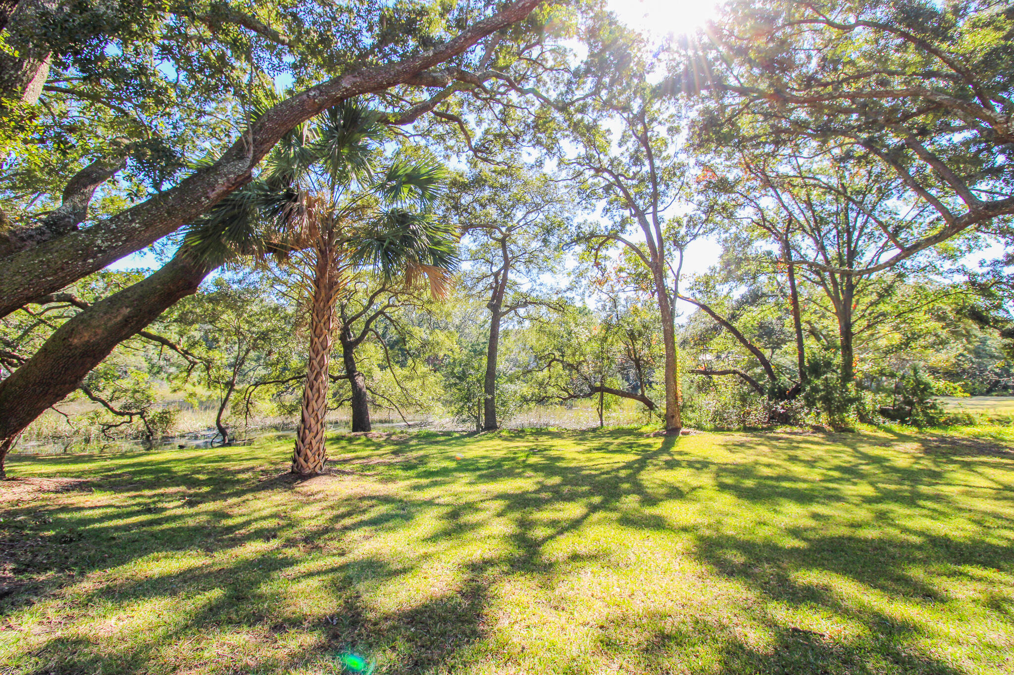 1666 Back Creek Road Charleston, SC 29412 - Photo 12 of 34 EB1748FC-14D4-420C-BE57-BE8F2347CEBC