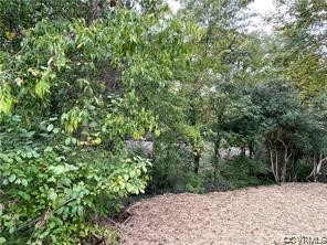 11900 Deerhurst Drive Midlothian, VA 23113 - Photo 6 of 33 a view of a pathway both side of yard
