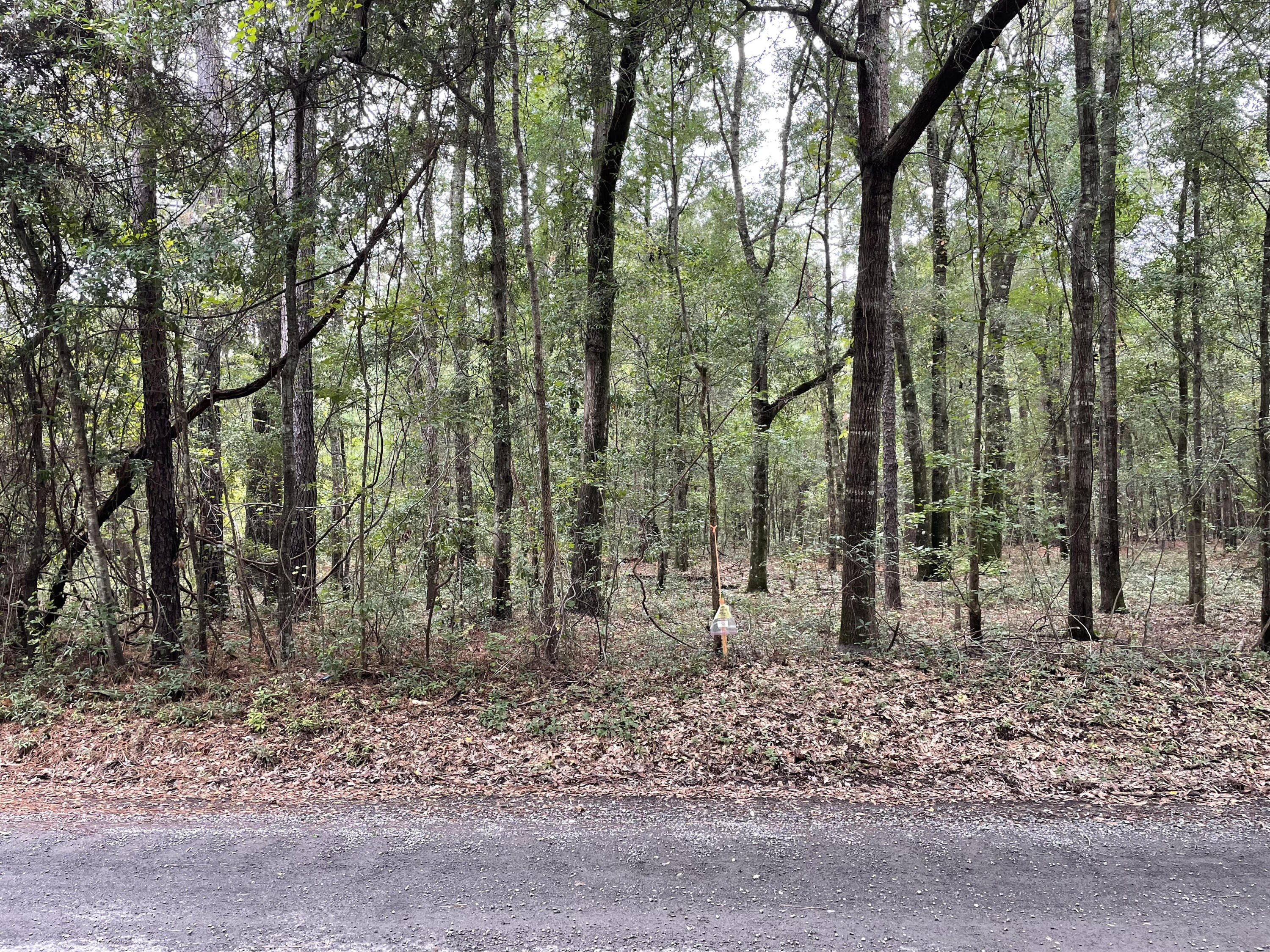0 Old Oakhill Road Jamestown, SC 29453 - Photo 3 of 4 old oakhill woods