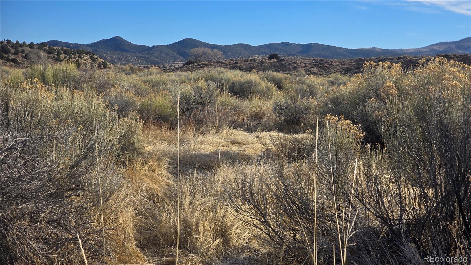 Lot 2972 Beekman Road Fort Garland, CO 81133 - Photo 3 of 18 Gallery Image 3