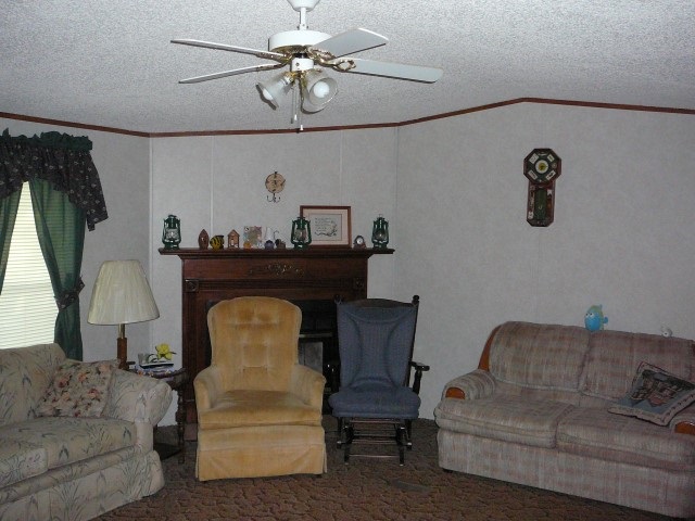 452 Lake Secession Road Anderson, SC 29621 - Photo 4 of 18