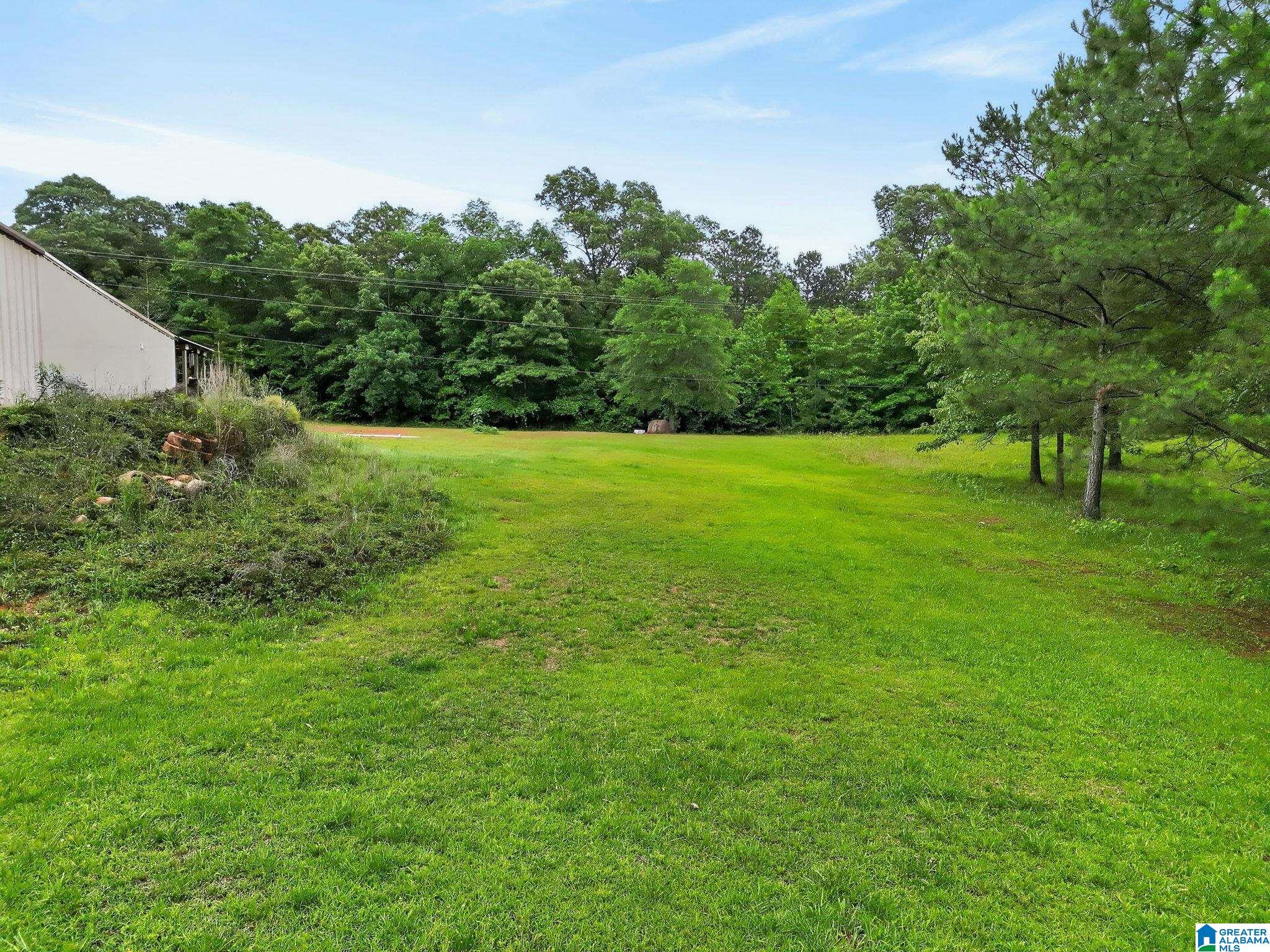 96 Rolling Mountain Road Rockford, AL 35136 - Photo 21 of 25