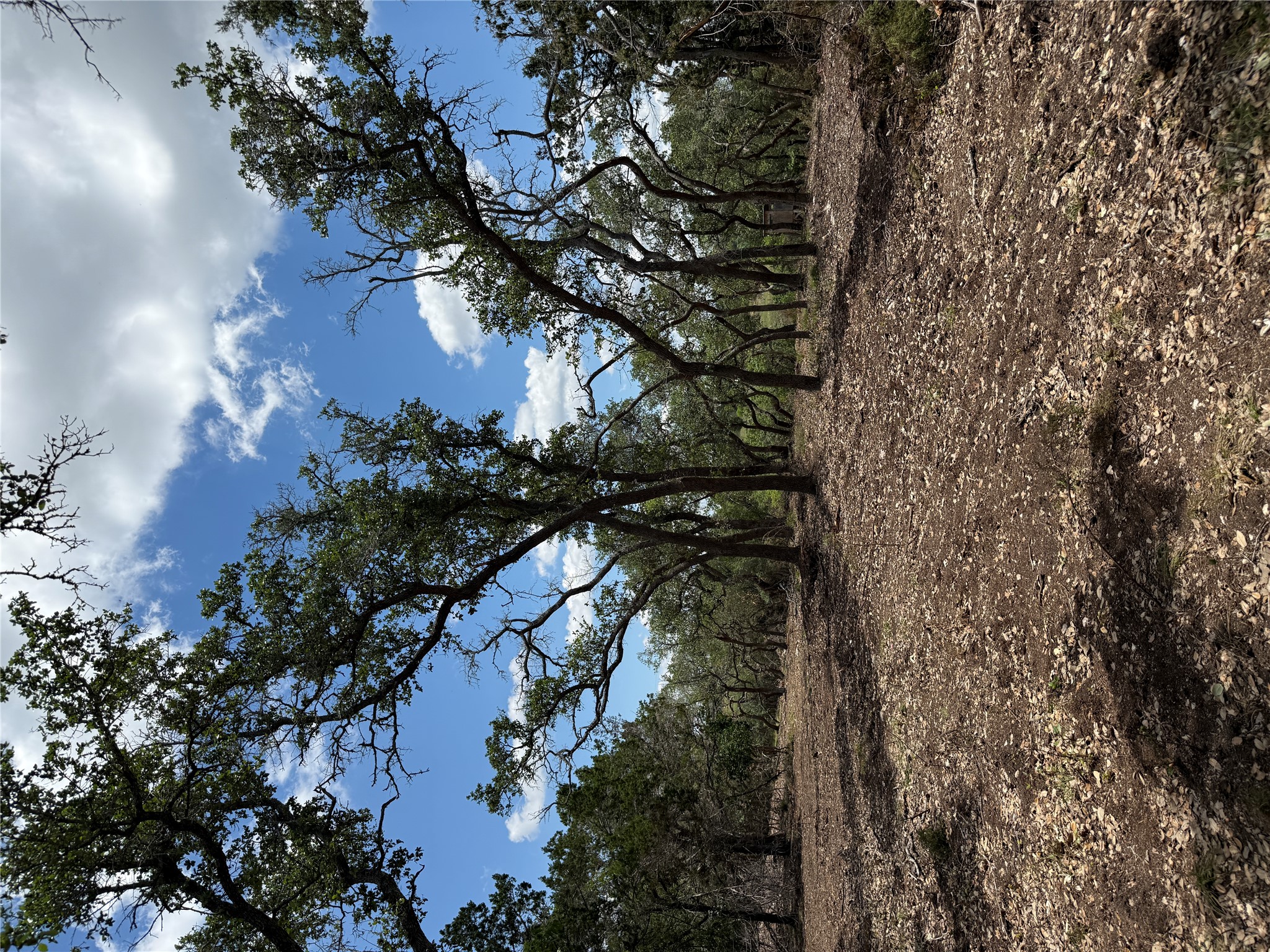-altwein Rd 17.91 Acres Altwein Road Blanco, TX 78606 - Photo 26 of 33 a view of outdoor space with mountain view