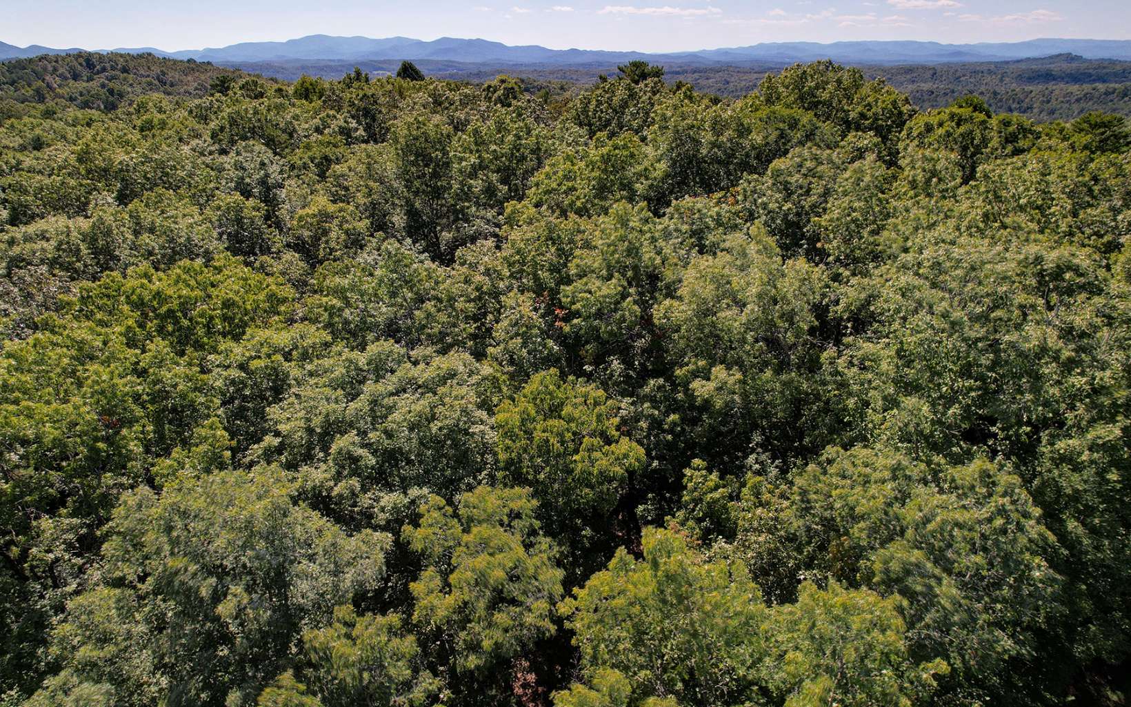 Toccoa Farm Road Morganton, GA 30560 - Photo 14 of 17 Additional View
