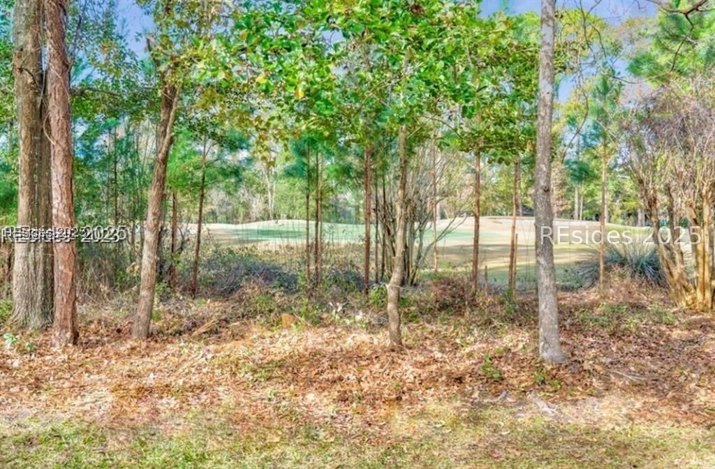 1 High Bluff Road, Unit 2017 Hilton Head Island, SC 29926 - Photo 32 of 45