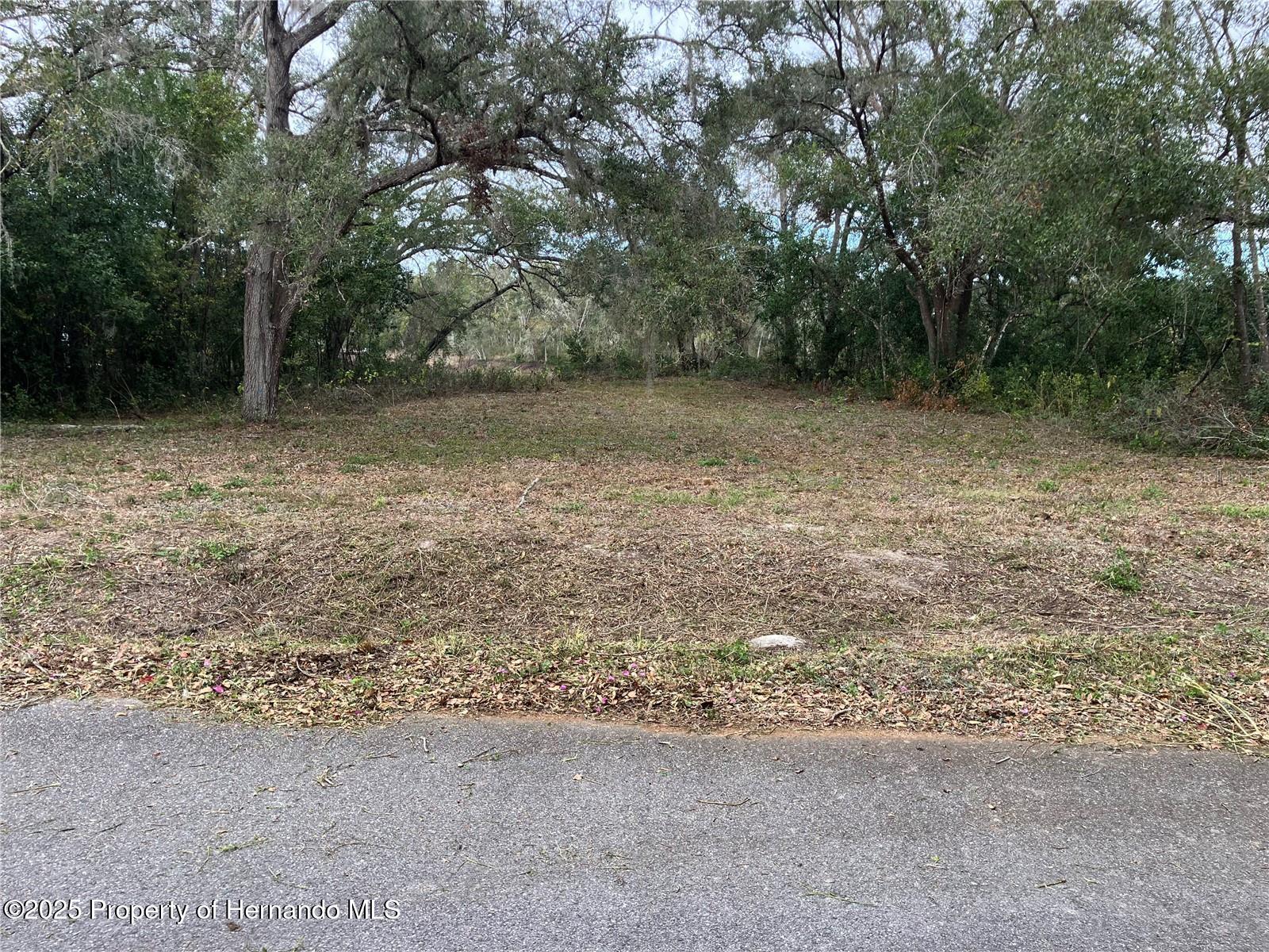 0 Alabama Road Spring Hill, FL 34610 - Photo 11 of 11