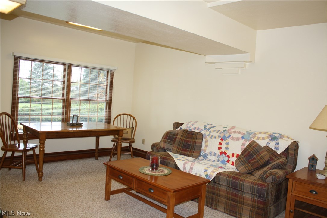 16116 Mason Road Vermilion, OH 44089 - Photo 20 of 35 Gallery Image 20