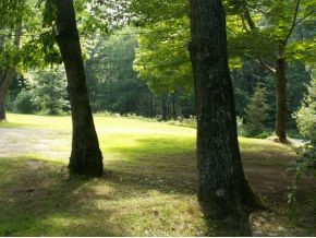 656 Deer Meadow Road Webster, NH 03303 - Photo 3 of 11