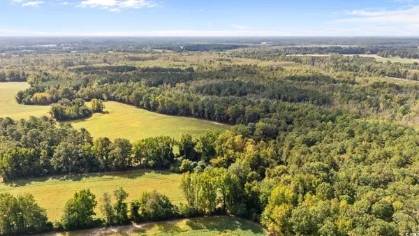 $595,000 | 0 Schofield Place, Fork, SC 29543