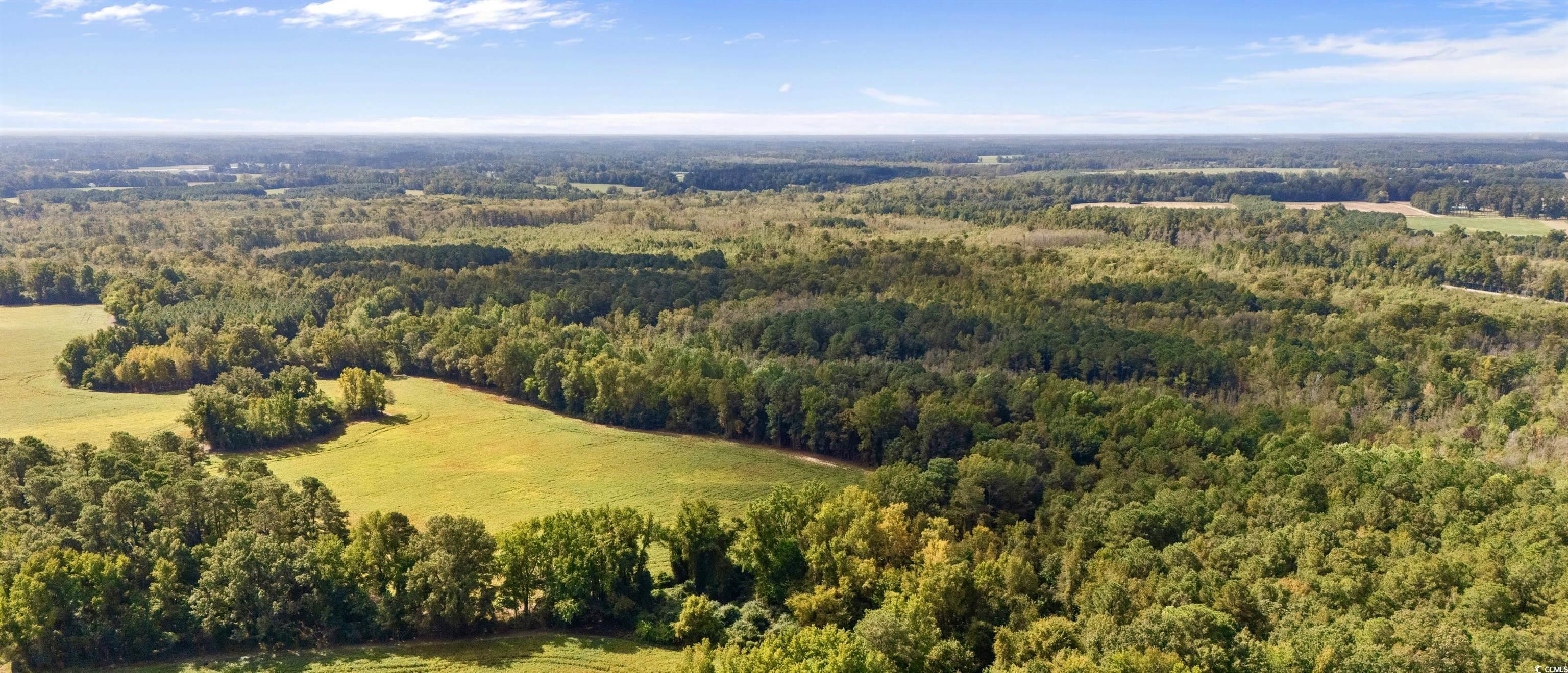 0 Schofield Place Fork, SC 29543 - Photo 2 of 9 Aerial view of a heavily wooded area