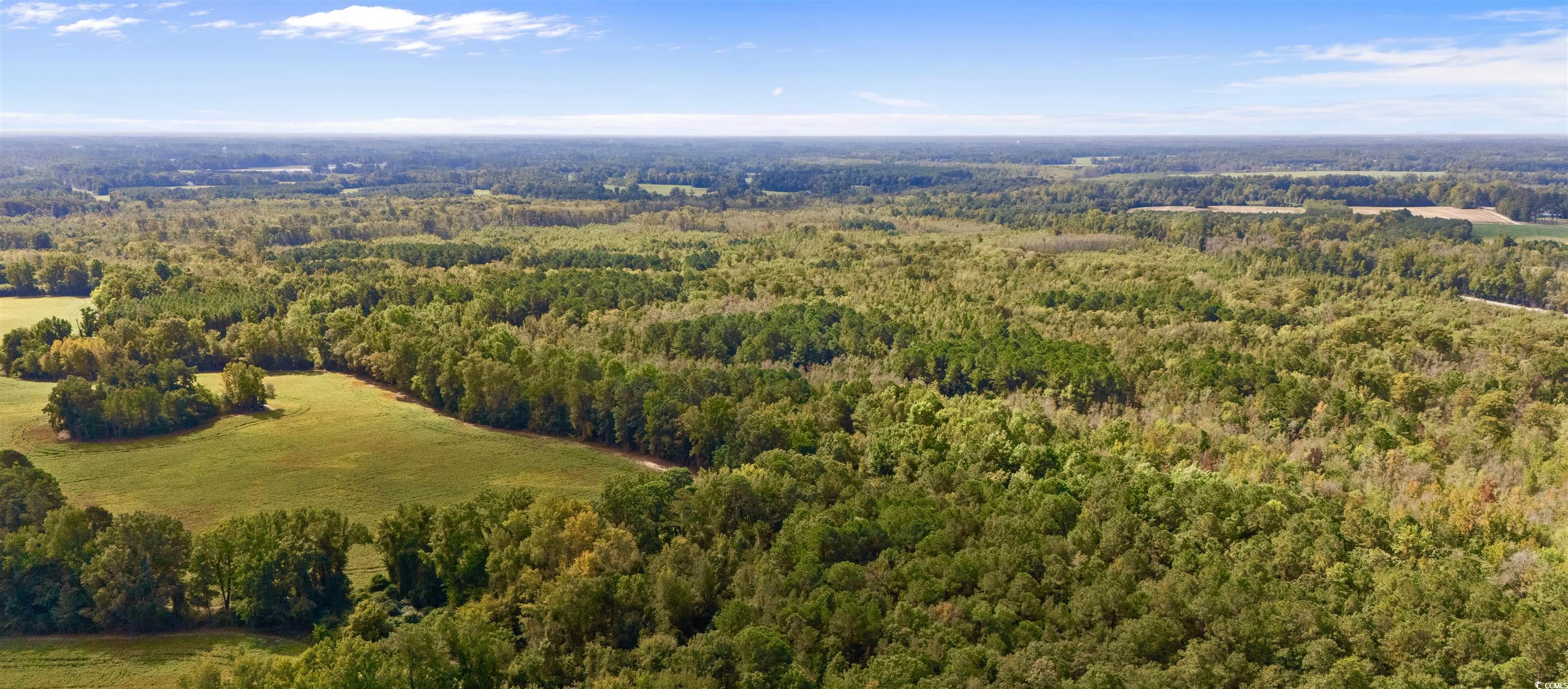 0 Schofield Place Fork, SC 29543 - Photo 3 of 9 Bird's eye view of a forest