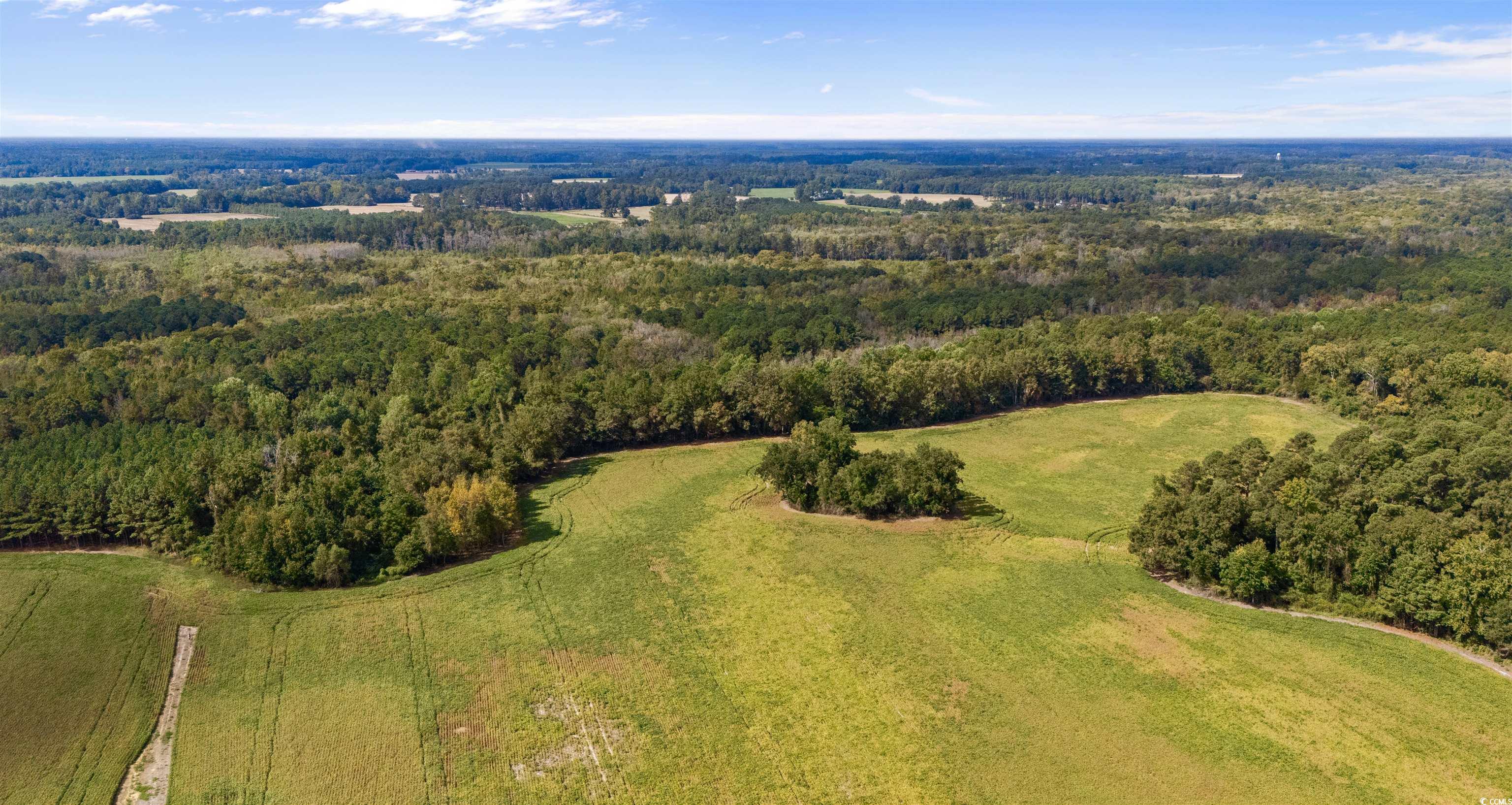 0 Schofield Place Fork, SC 29543 - Photo 4 of 9 Aerial view of property and surrounding area featuring a heavily wooded area