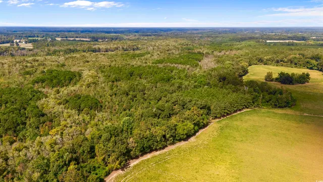 $614,550 | 0 Schofield Place, Fork, SC 29543