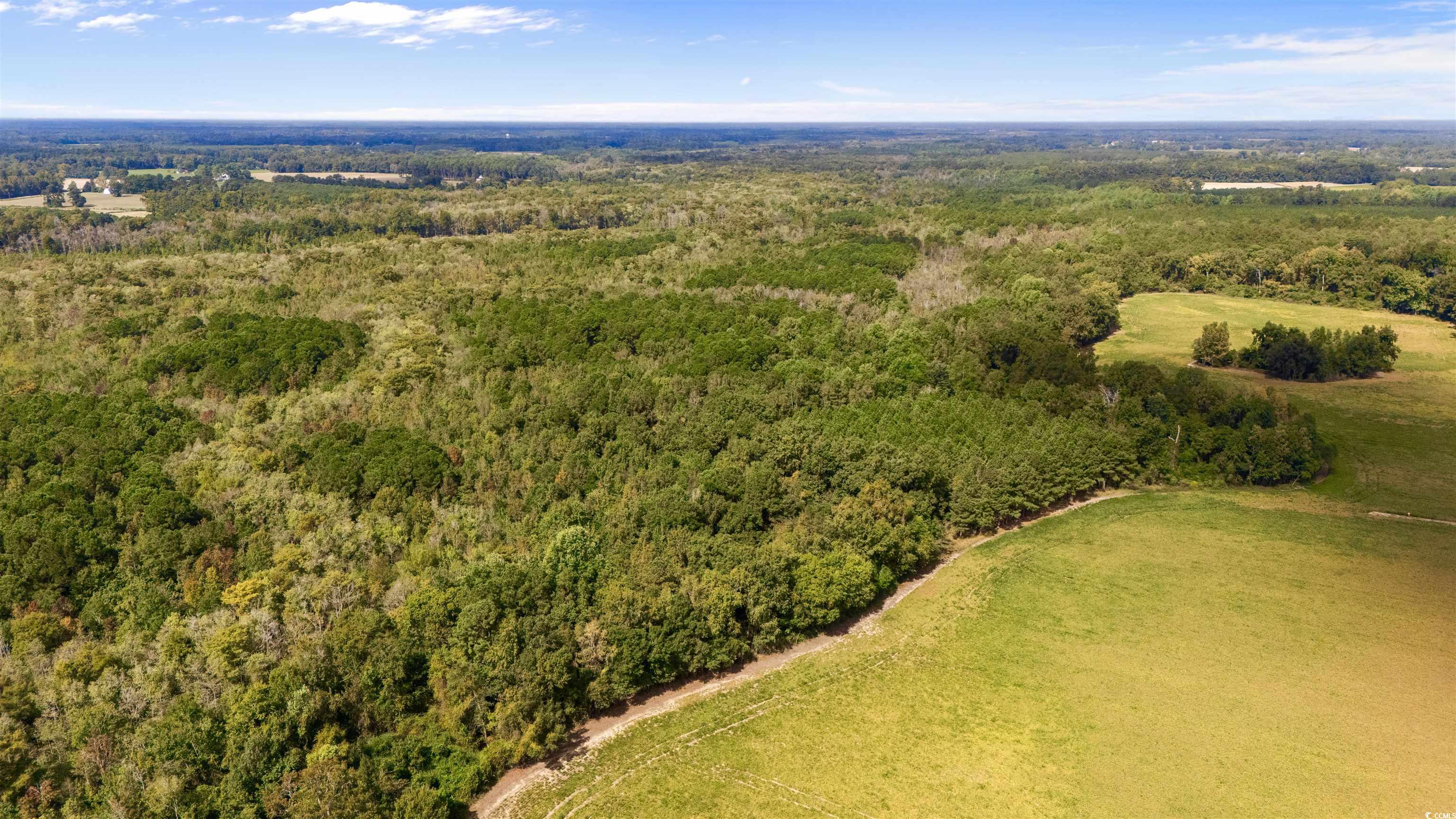 0 Schofield Place Fork, SC 29543 - Photo 5 of 9 Bird's eye view of a heavily wooded area