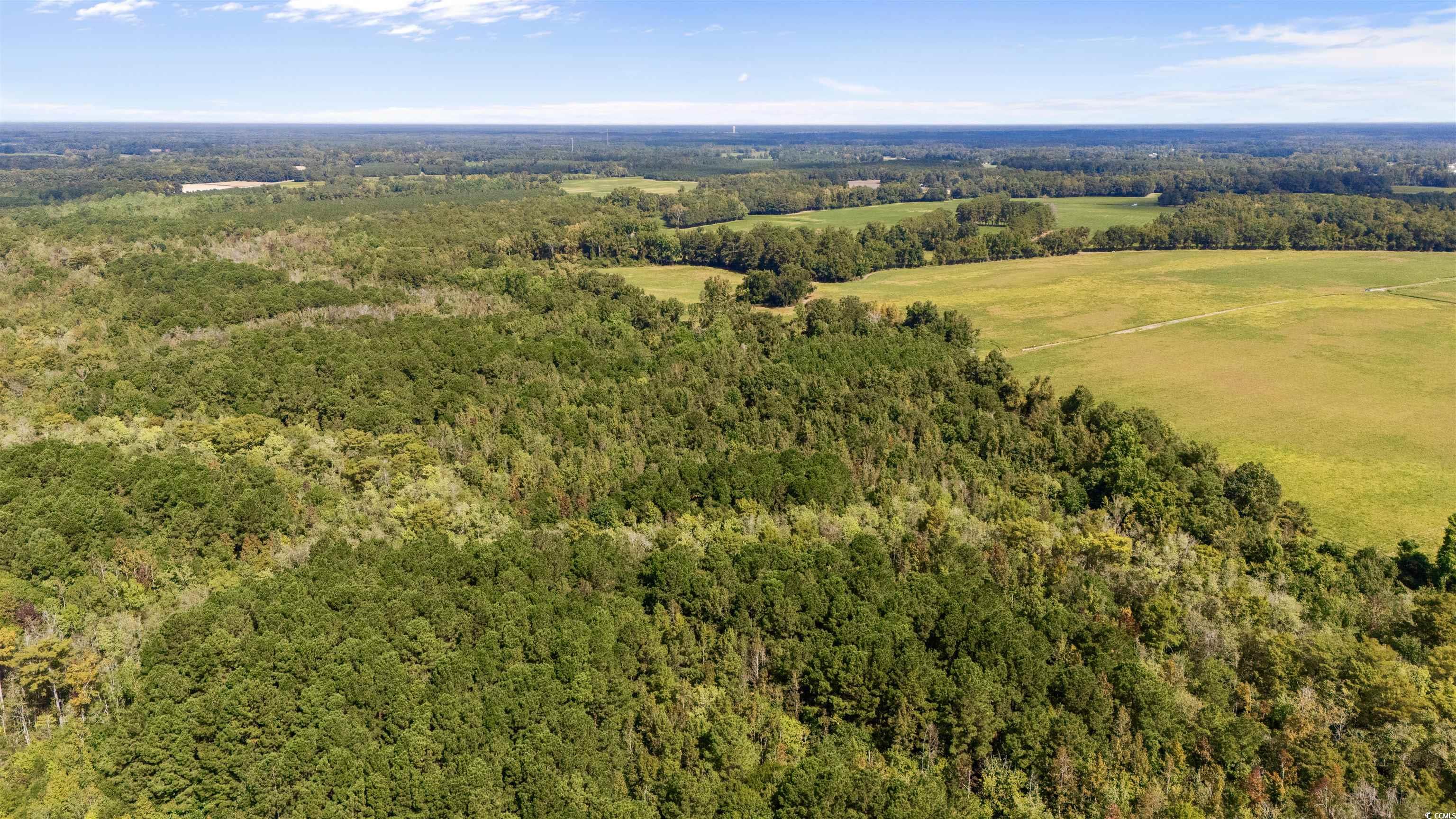 0 Schofield Place Fork, SC 29543 - Photo 6 of 9 Drone / aerial view of a forest