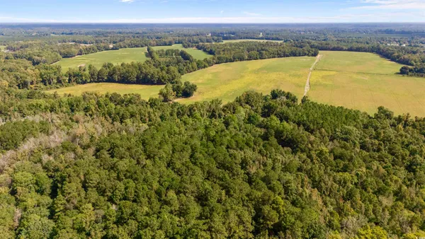 $595,000 | 0 Schofield Place, Fork, SC 29543