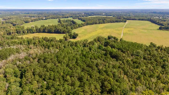 $614,550 | 0 Schofield Place, Fork, SC 29543