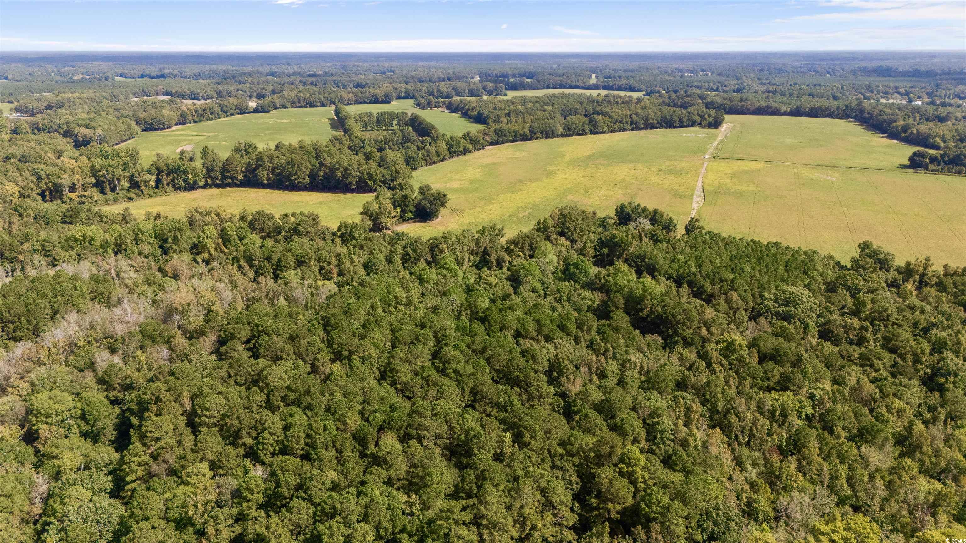 0 Schofield Place Fork, SC 29543 - Photo 7 of 9 Aerial view of a forest