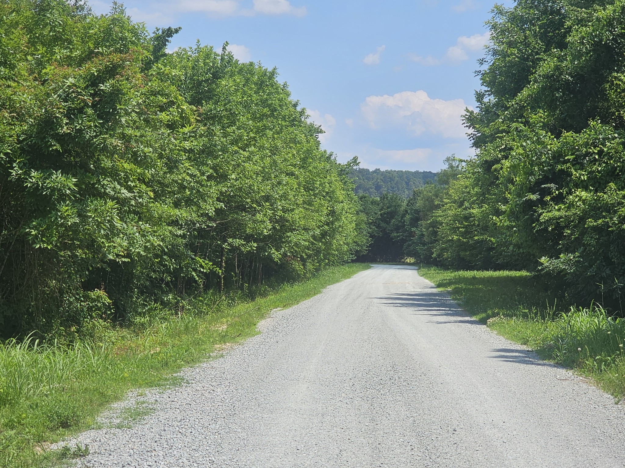 91 Creekside View Lane Decaturville, TN 38329 - Photo 51 of 57 a view of a lake view with a street