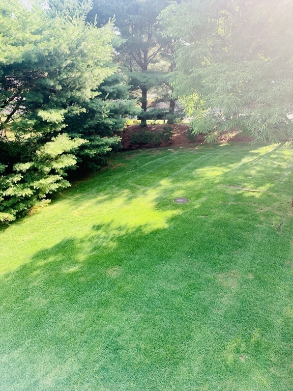 2205 Boston Road, Unit Q165 Wilbraham, MA 01095 - Photo 23 of 38 Gallery Image 23
