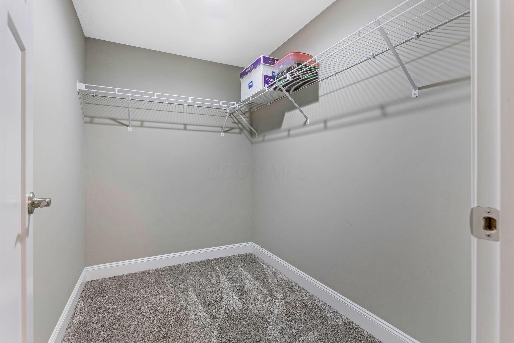 5981 Julian Road Southwest Amanda, OH 43102 - Photo 41 of 97 walk-in closet