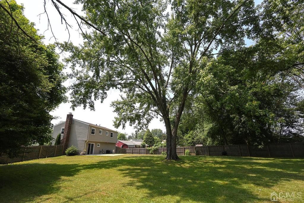 53 Edgemere Avenue Plainsboro, NJ 08536 - Photo 33 of 39 a view of a house with a big yard and large trees
