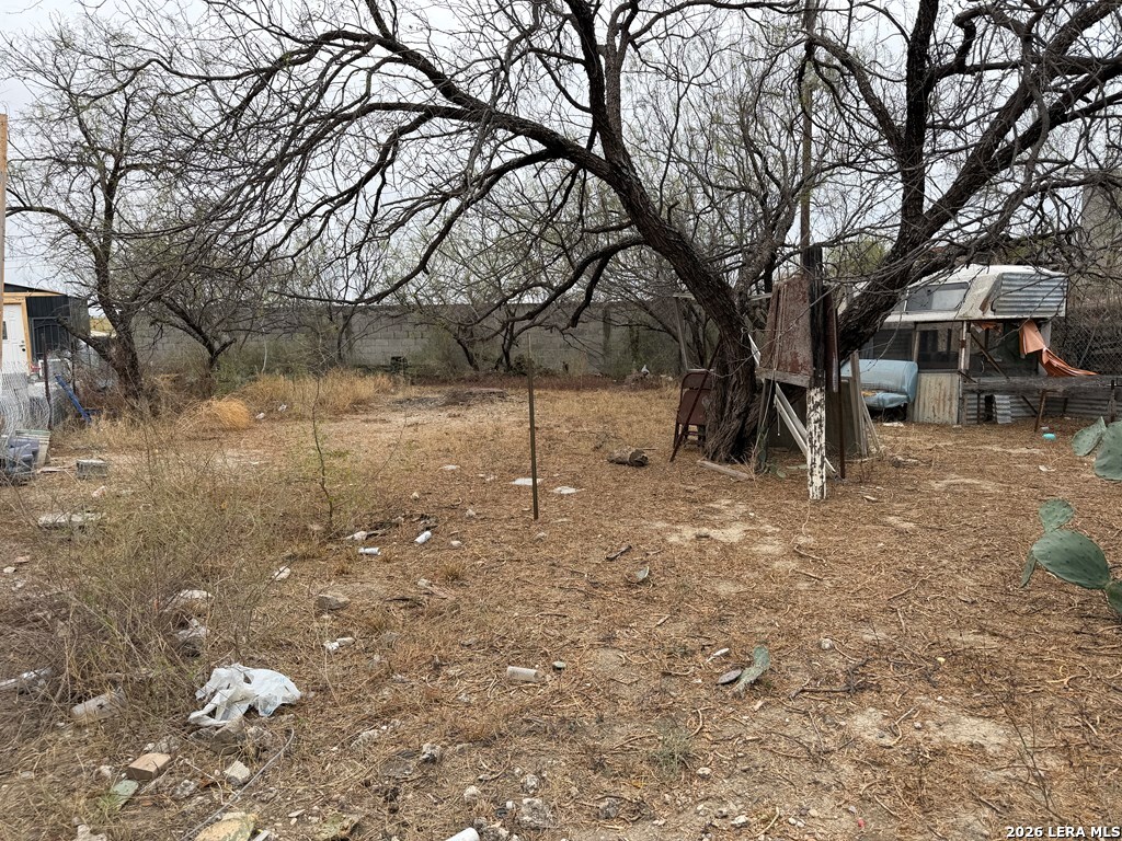 3148 Leonel Street Eagle Pass, TX 78852 - Photo 16 of 18 a view of a yard with a tree