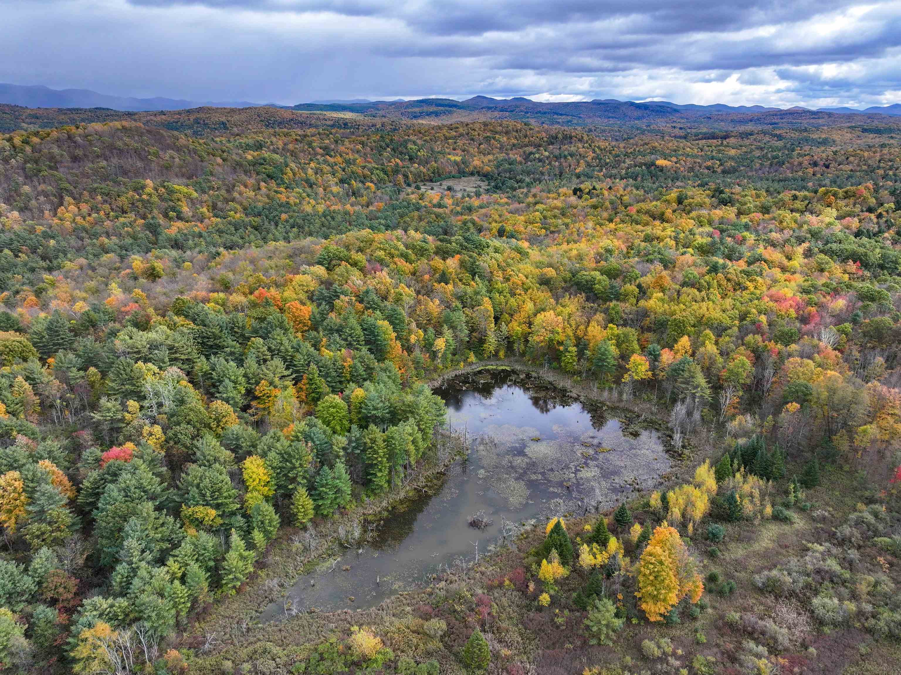 108 Young Road Orwell, VT 05760 - Photo 46 of 50
