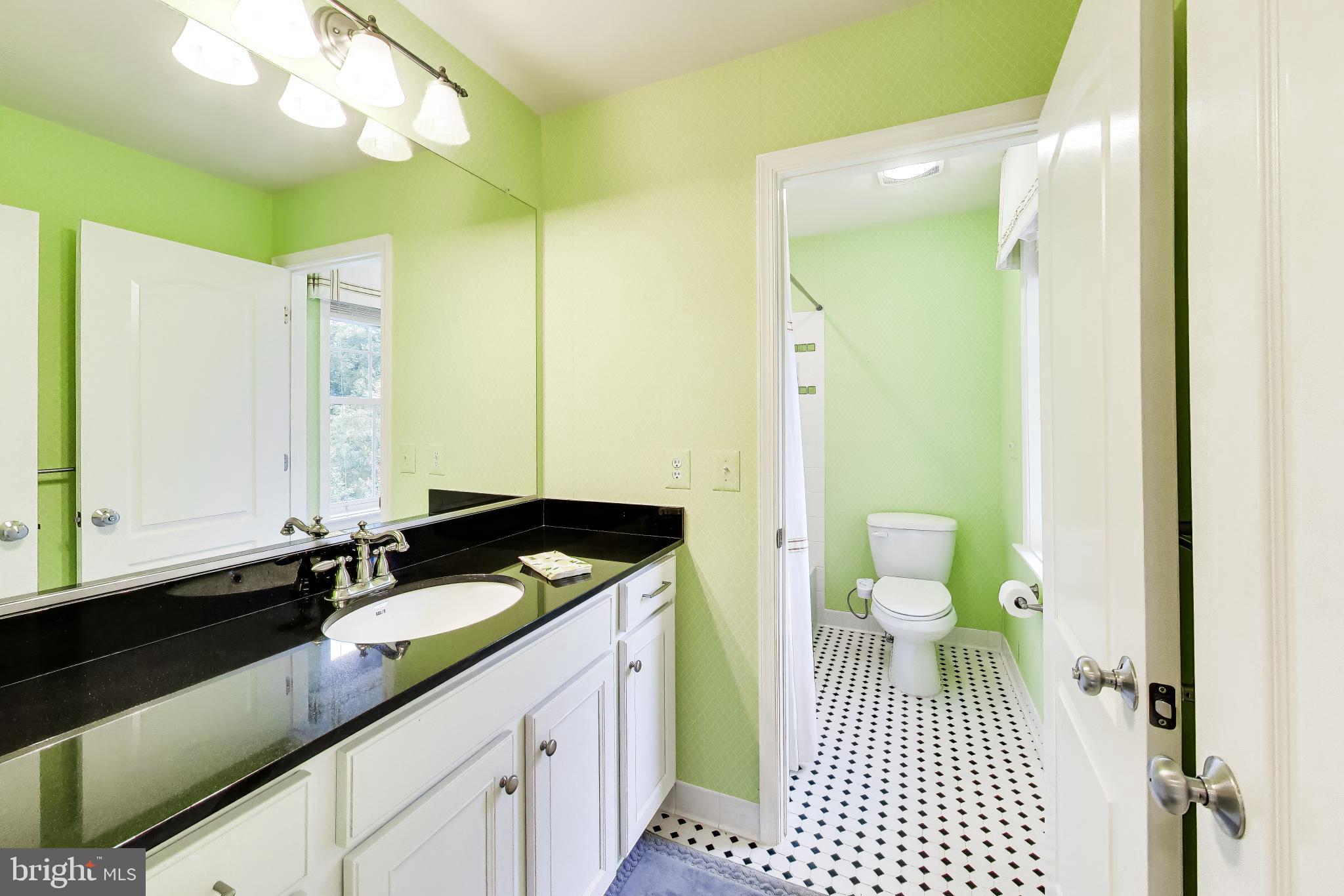 13513 Moonlight Trail Drive Silver Spring, MD 20906 - Photo 37 of 78 a bathroom with a sink a toilet and a mirror