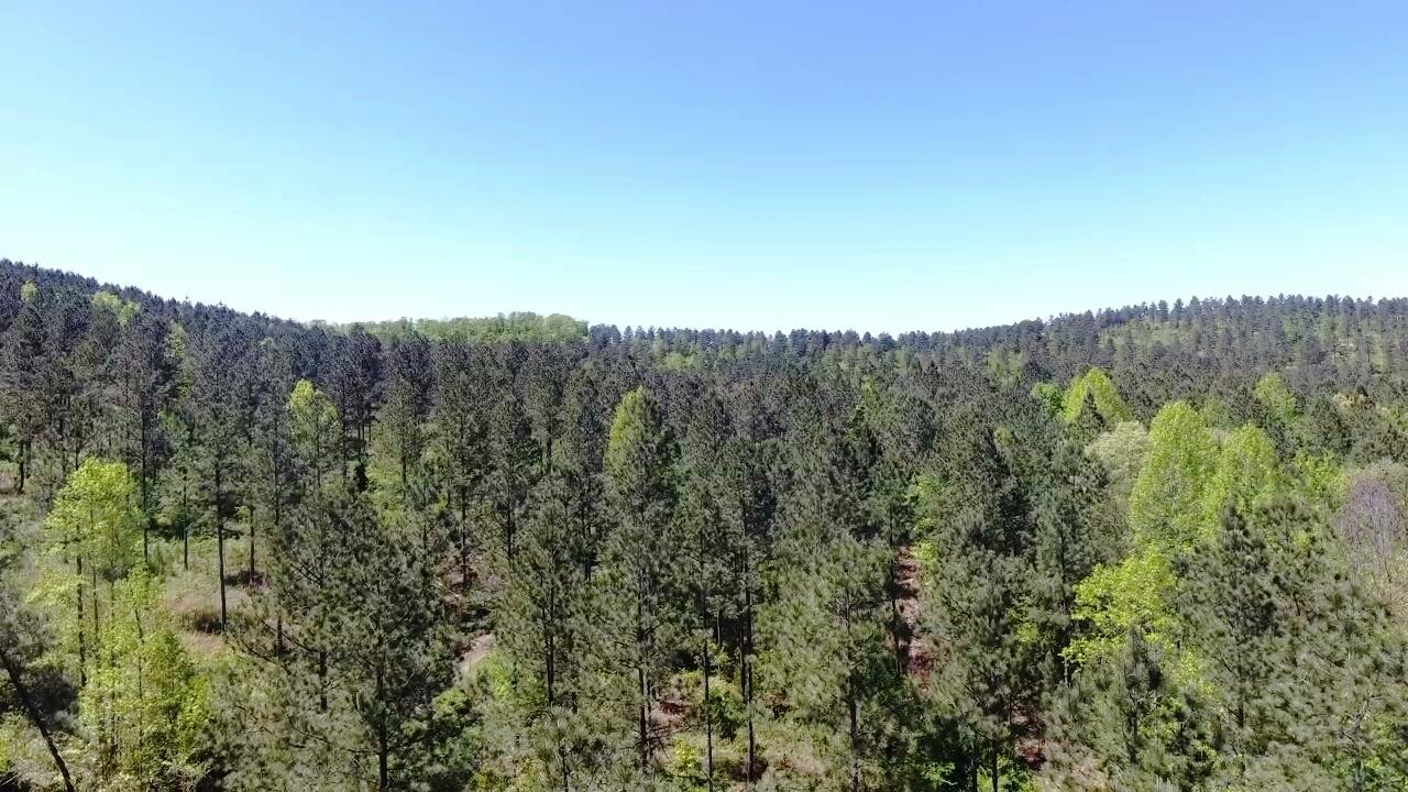 100-ac Sims Road Decatur, TN 37322 - Photo 27 of 27 39