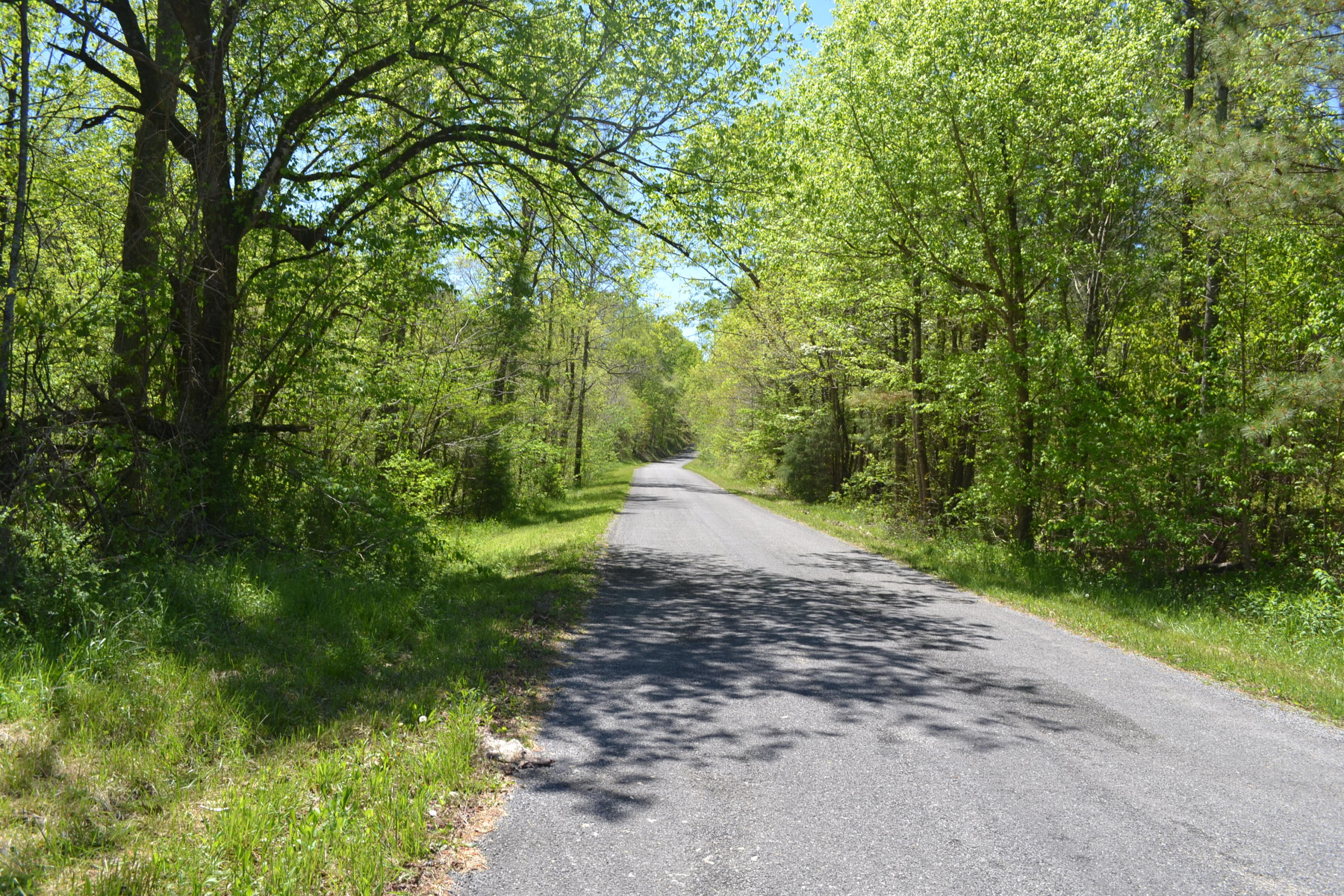 100-ac Sims Road Decatur, TN 37322 - Photo 4 of 27 Hon 224 ac_1874Hon 224 ac