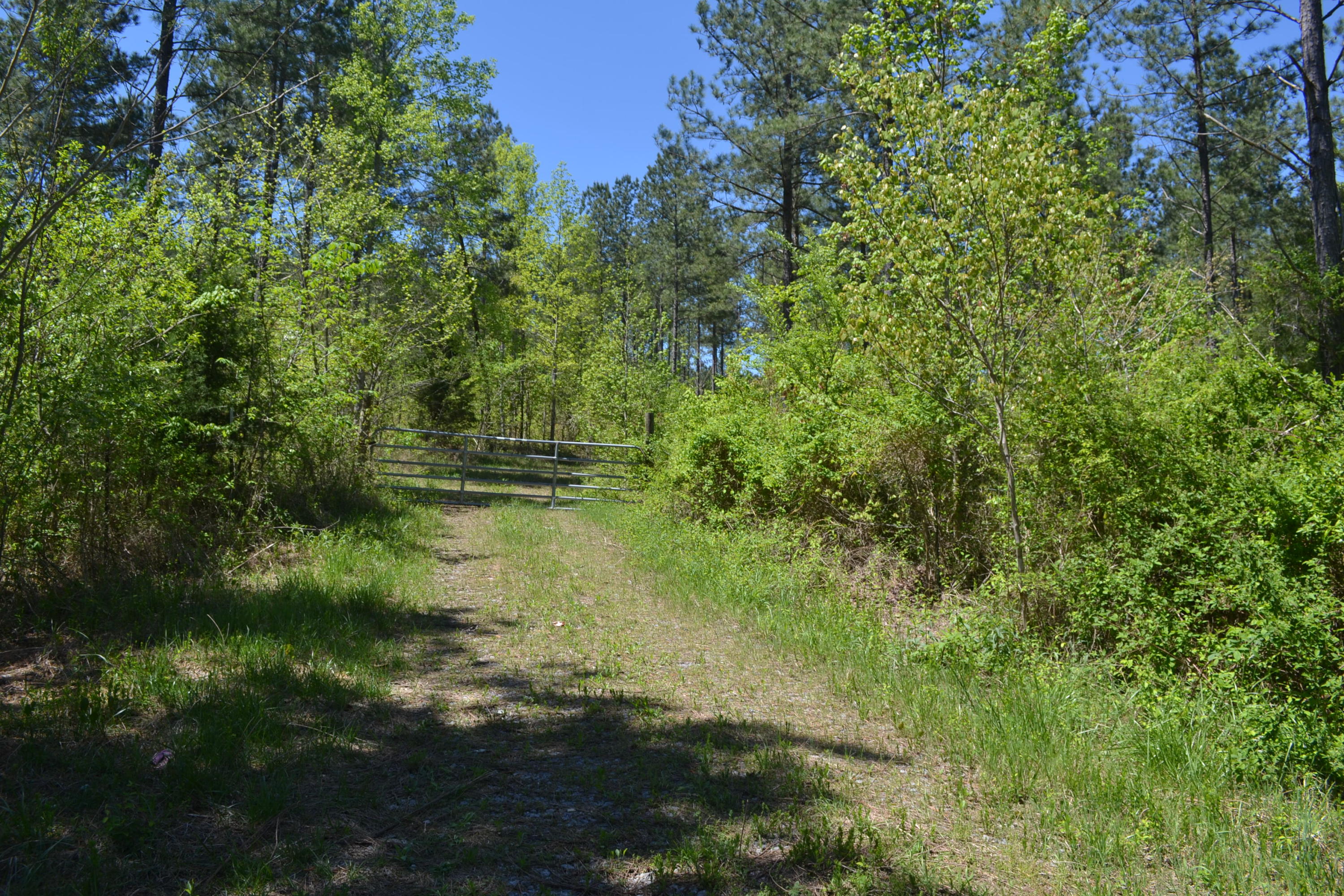 100-ac Sims Road Decatur, TN 37322 - Photo 5 of 27 Hon 224 ac_1875Hon 224 ac